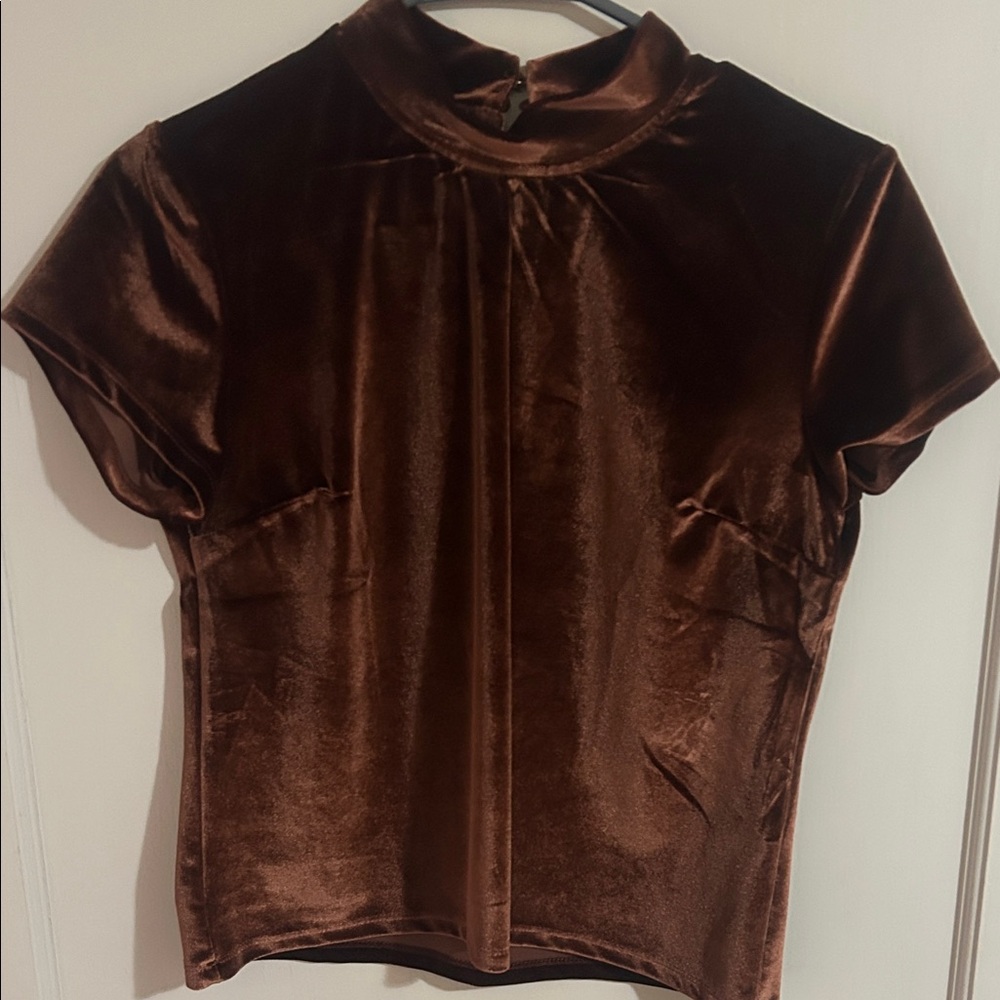 Luxurious Velvet Brown Blouse